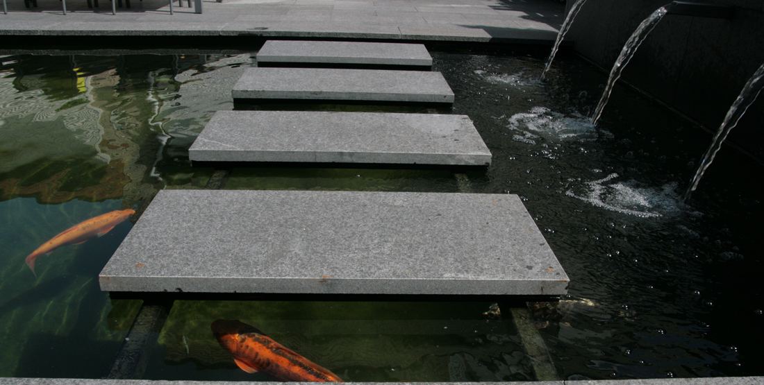 Strakke koivijver met betonnen stapstenen en waterelementen