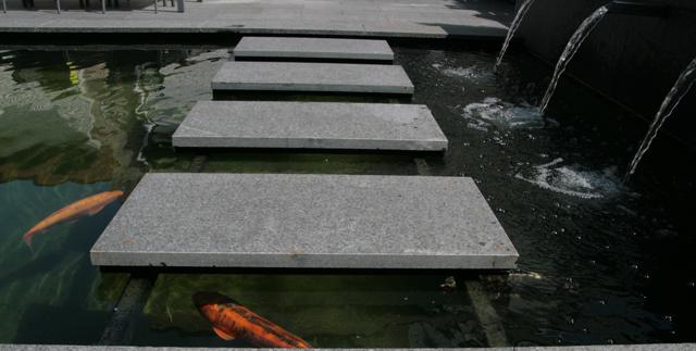 Strakke koivijver met betonnen stapstenen en waterelementen